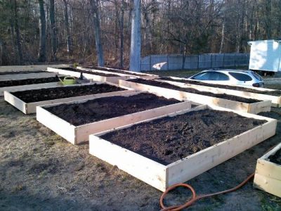 Time To Plan Your 2013 Garden Image